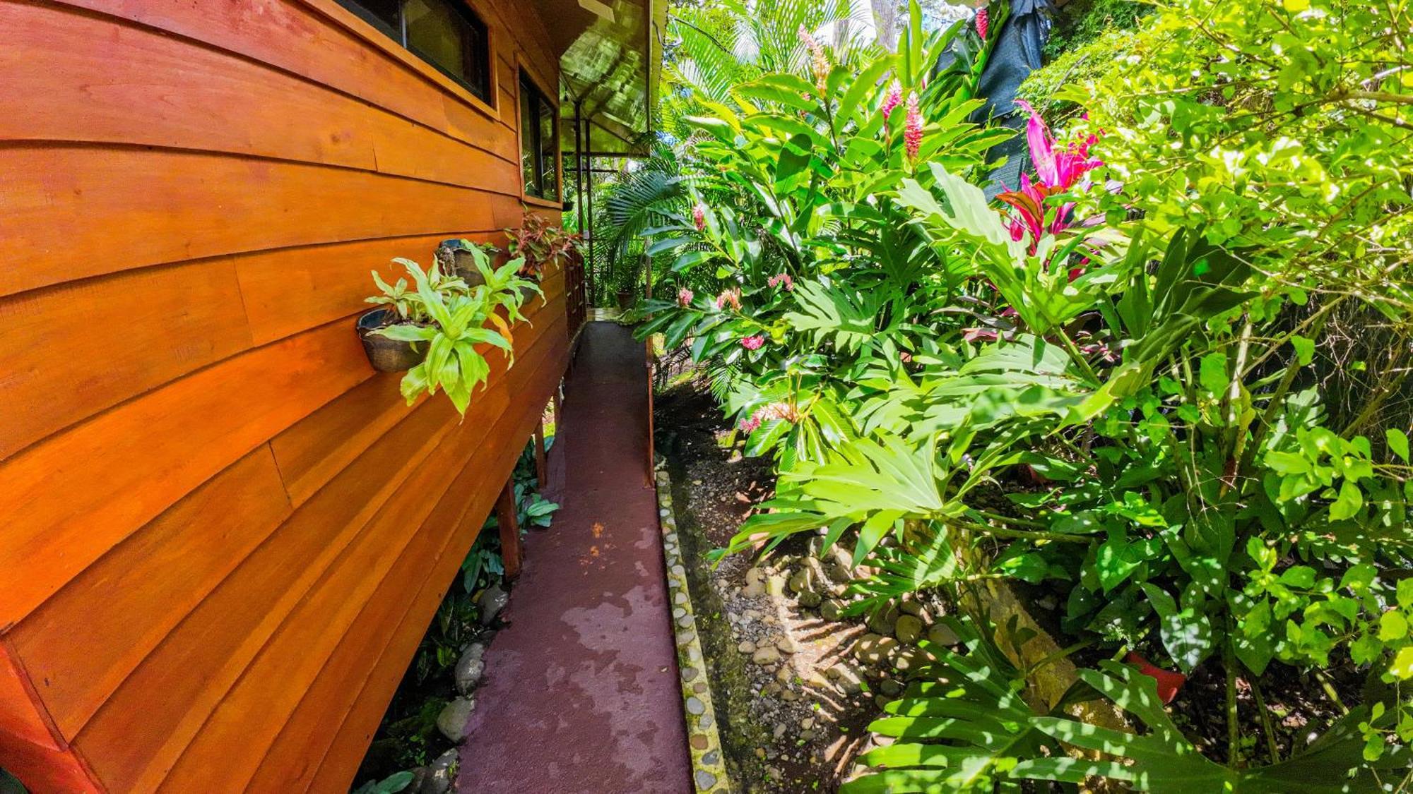 Bungalows Las Iguanas Arenal Volcano La Fortuna Екстериор снимка