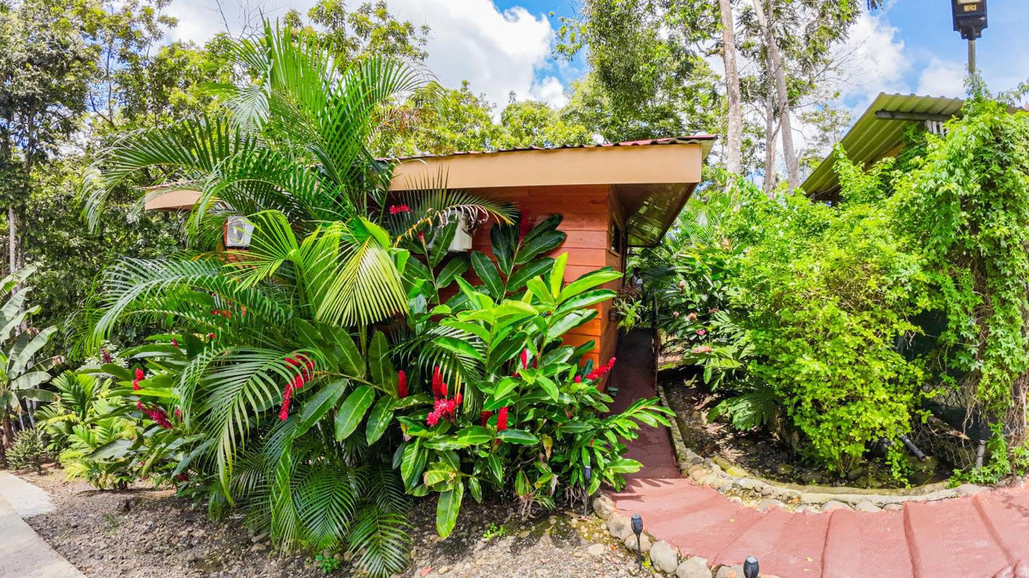 Bungalows Las Iguanas Arenal Volcano La Fortuna Екстериор снимка