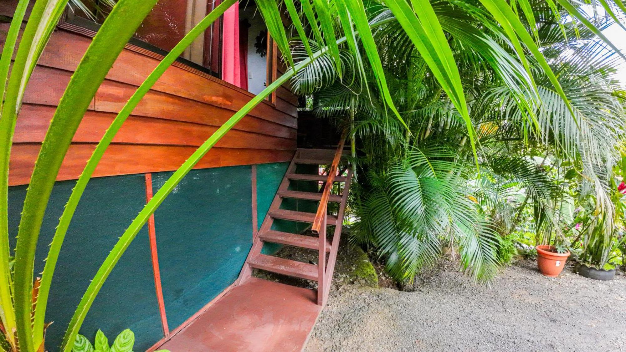 Bungalows Las Iguanas Arenal Volcano La Fortuna Екстериор снимка