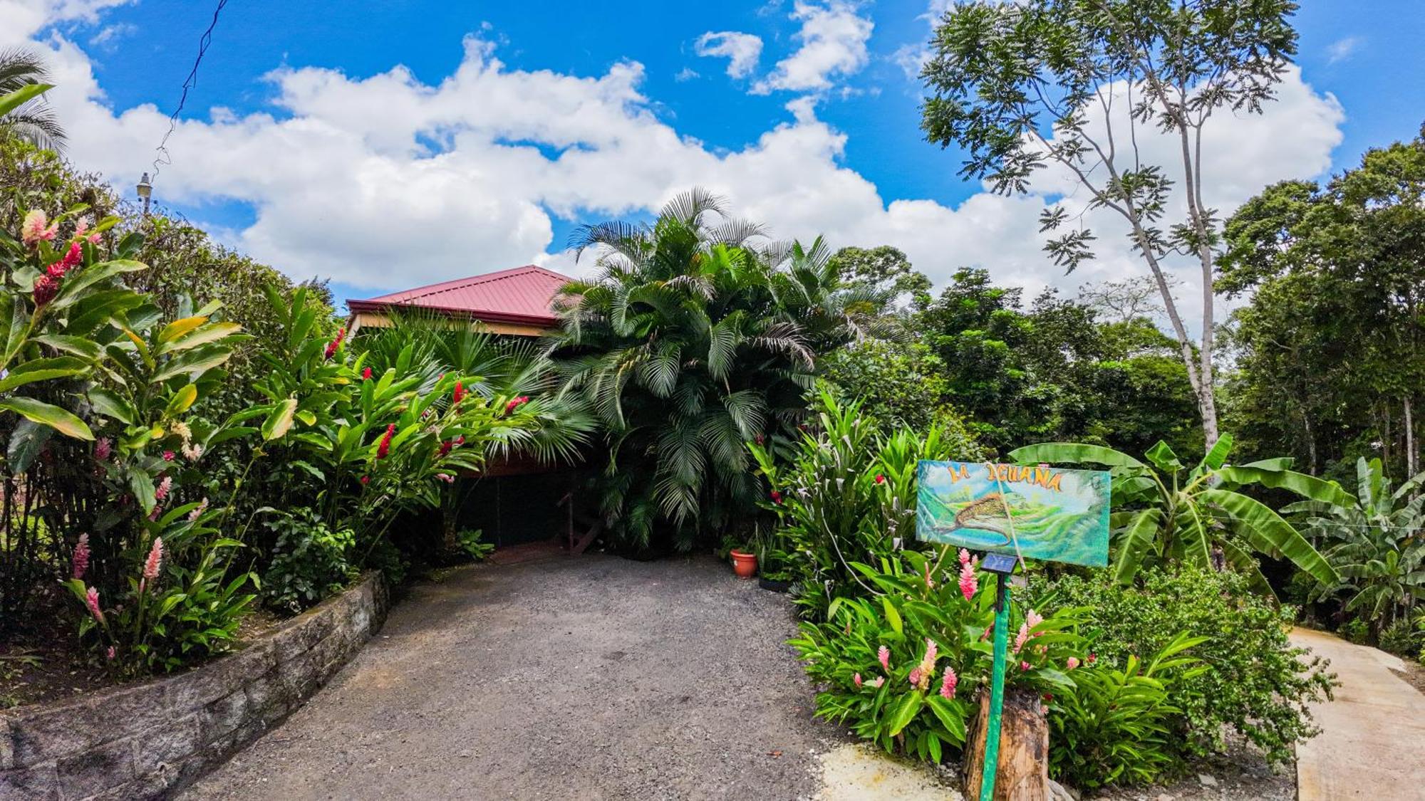 Bungalows Las Iguanas Arenal Volcano La Fortuna Екстериор снимка