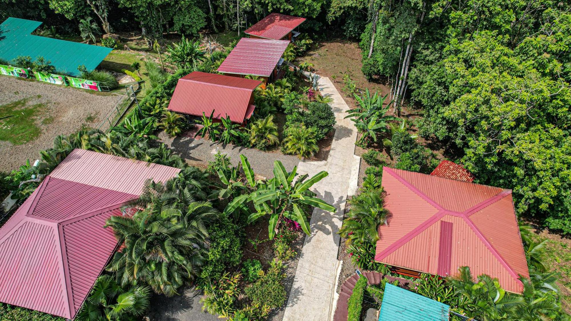 Bungalows Las Iguanas Arenal Volcano La Fortuna Екстериор снимка