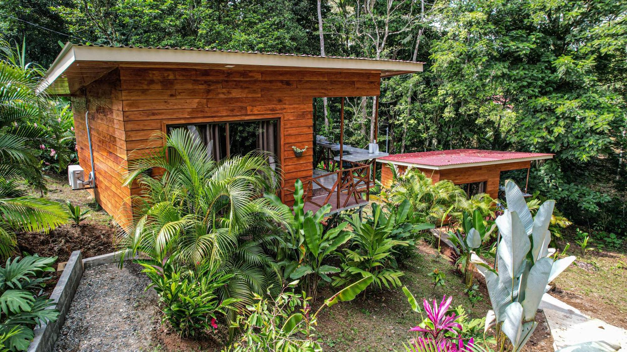 Bungalows Las Iguanas Arenal Volcano La Fortuna Екстериор снимка