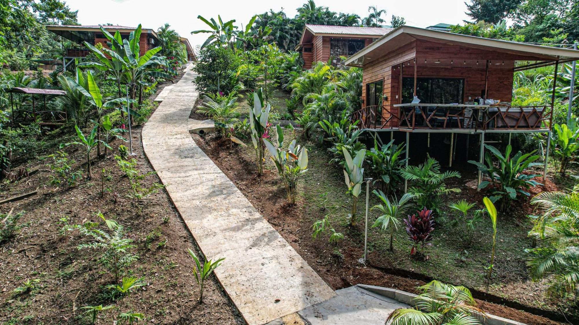 Bungalows Las Iguanas Arenal Volcano La Fortuna Екстериор снимка