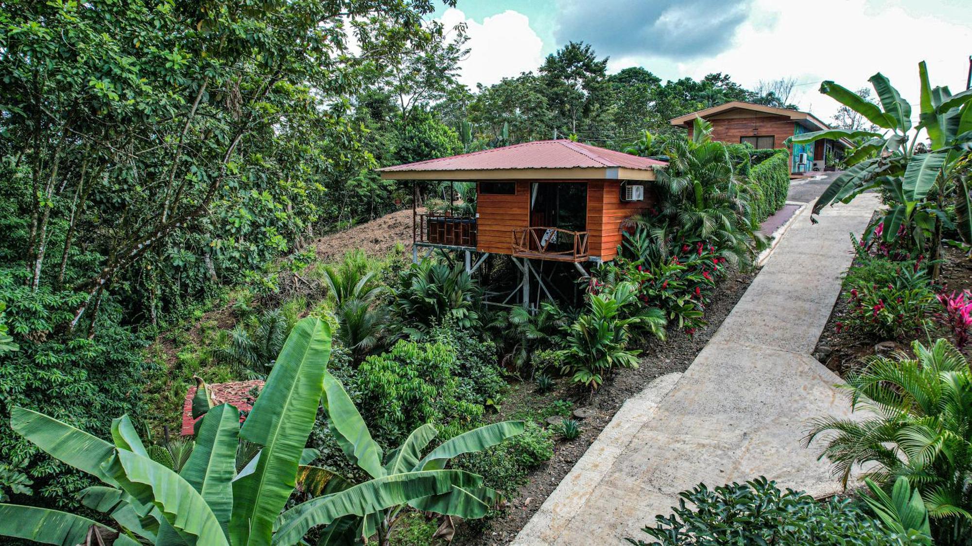 Bungalows Las Iguanas Arenal Volcano La Fortuna Екстериор снимка