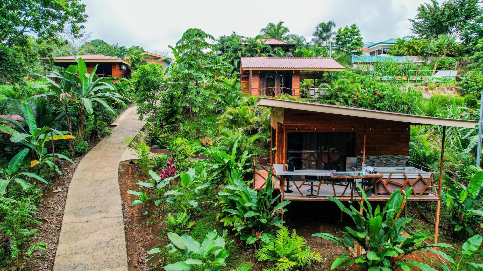 Bungalows Las Iguanas Arenal Volcano La Fortuna Екстериор снимка